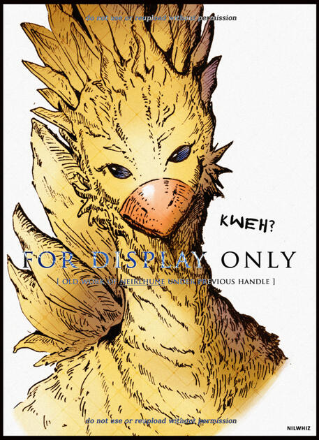 ✧ chocobo ✧